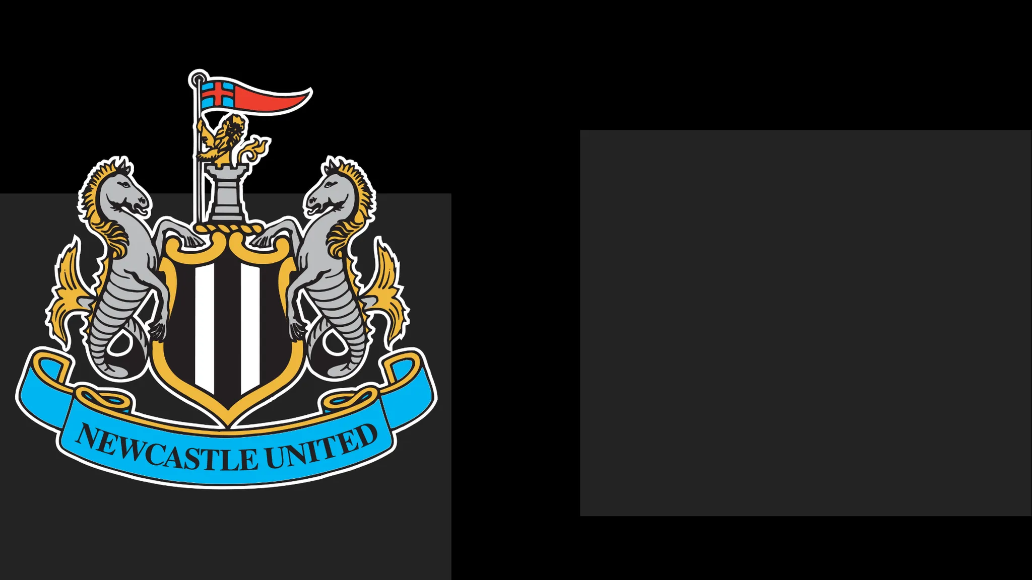 NUFC Issue Formal Apology to Supporters Following Ticket Issue