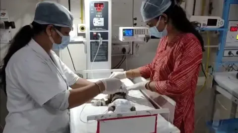 Newborn Interred Alive in India Battles for Her Life
